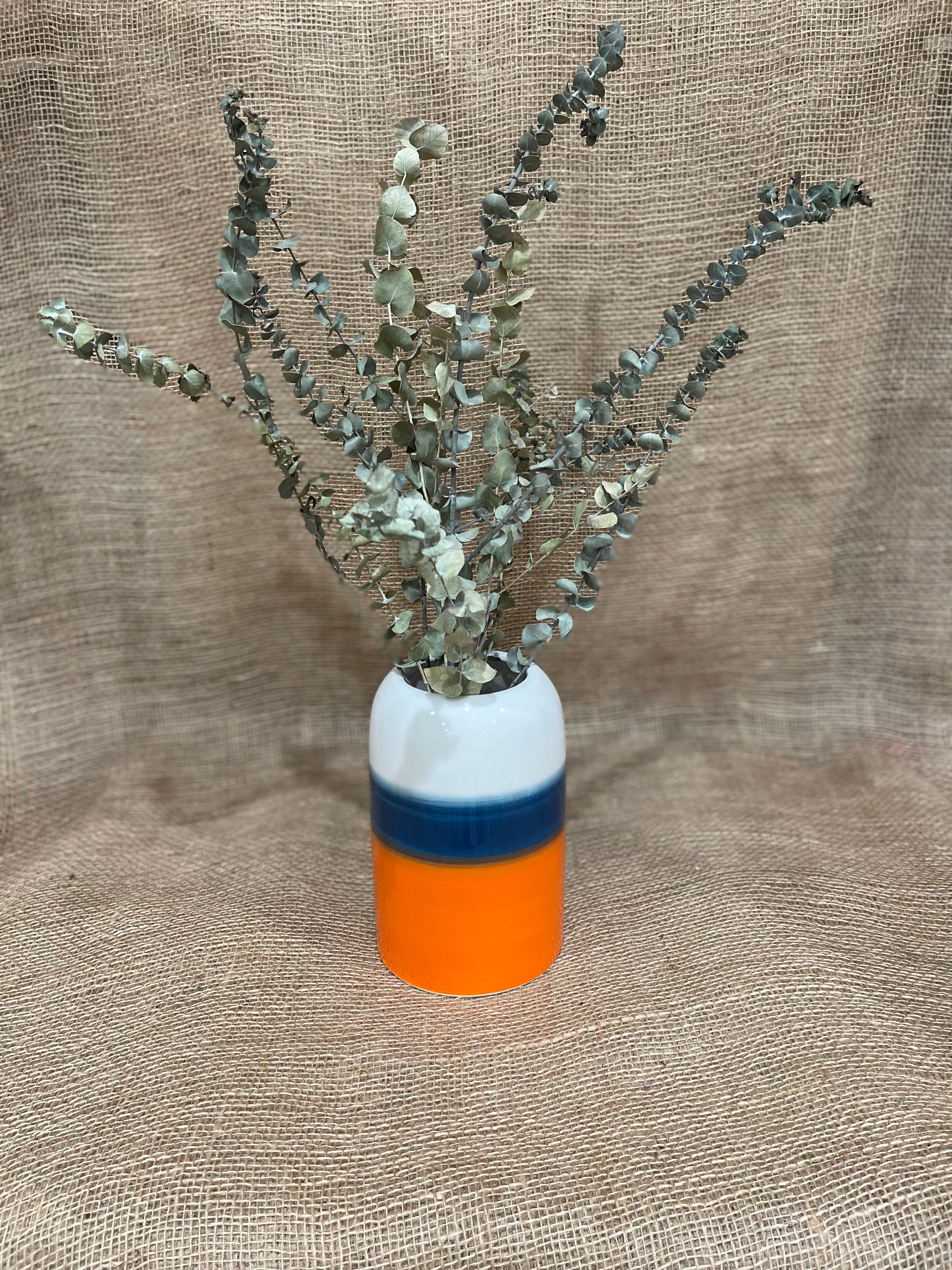 Dried Eucalyptus Bunch