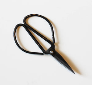 Forged Steel Pruning Shears